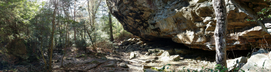 Rock and Trees: Panoramic at Fiery Gizzard