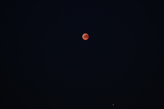 Blood Moon & Mars
