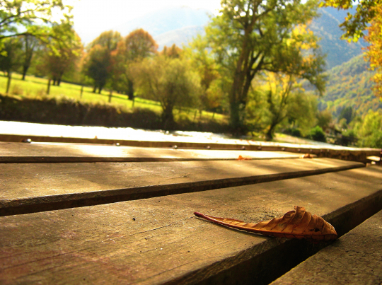 [. Autumn in the Pyrenees .]