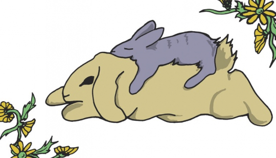 Sleeping Rabbits