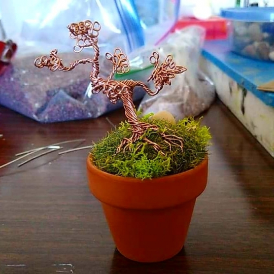 Tiny Bonsai