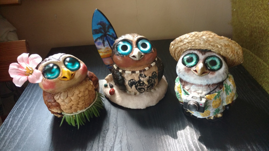 Summer Owls