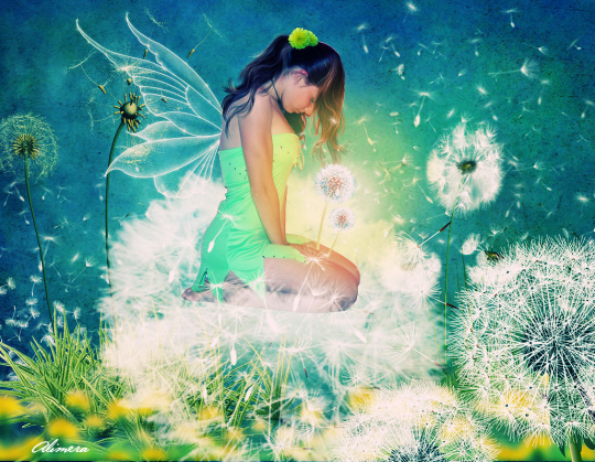Dandelion fairy.jpg