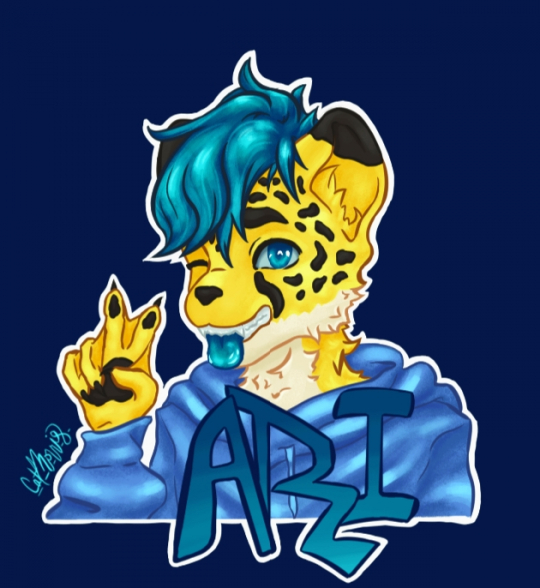 Ari The Blue-Haired Cheetah