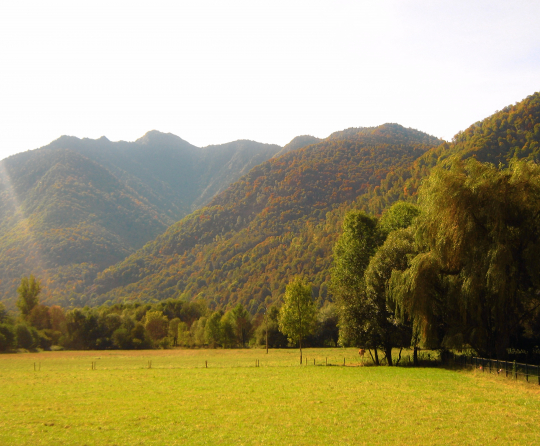 [. Autumn in the Pyrenees .]