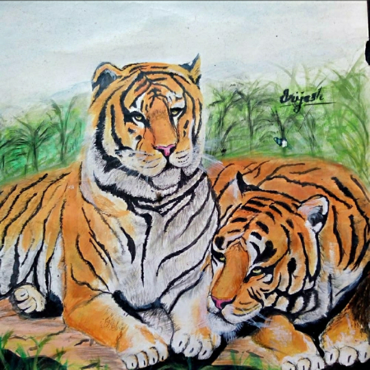 Tigers are resting in summer season
