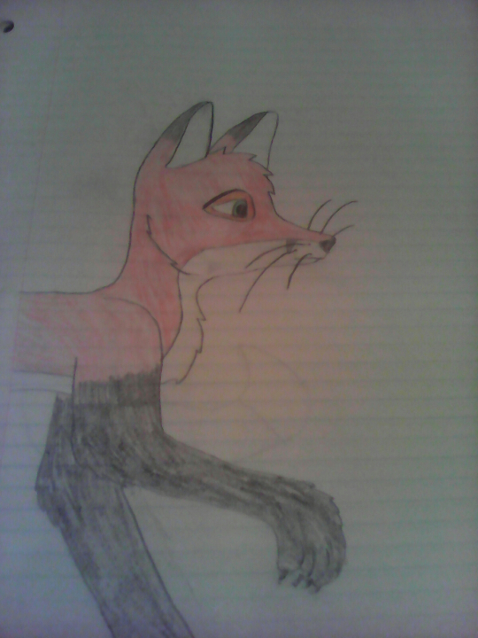 A Cute Fox I Drew