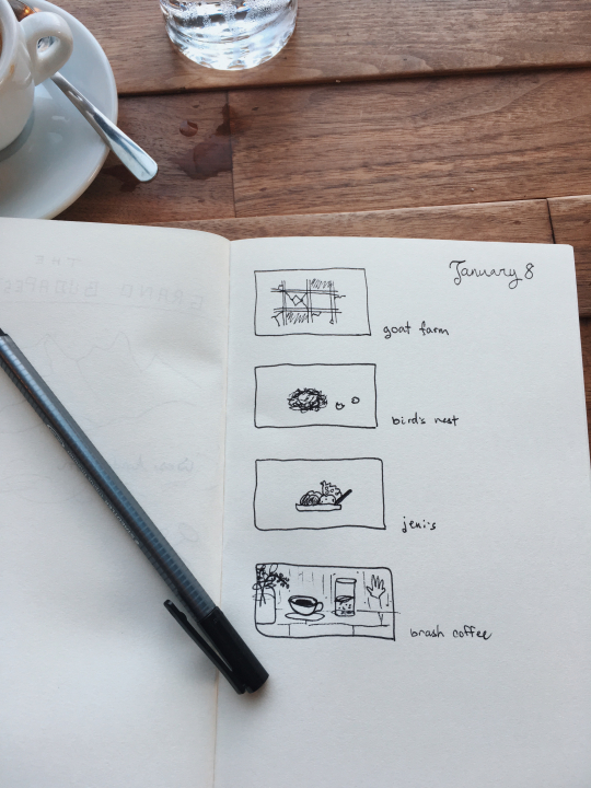 Doodle journaling | january