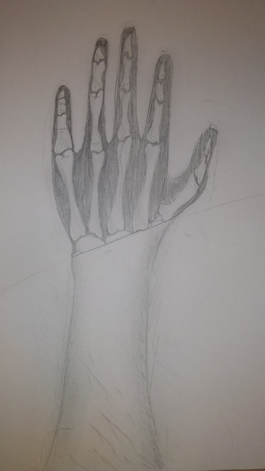 Skeletal hand