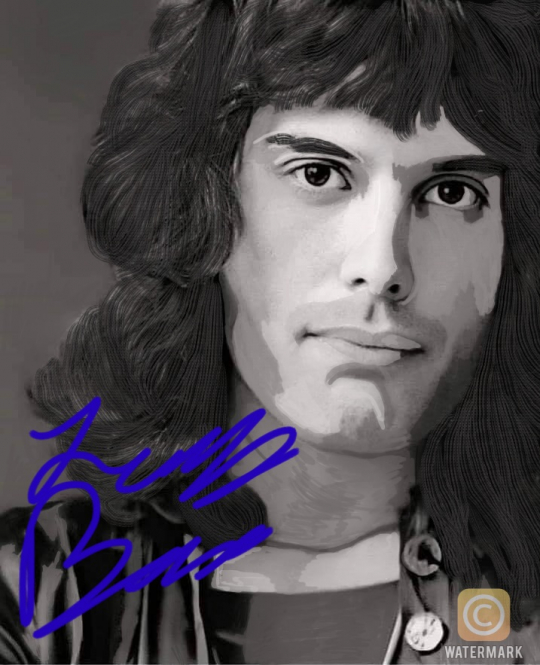 Freddie Mercury Portrait