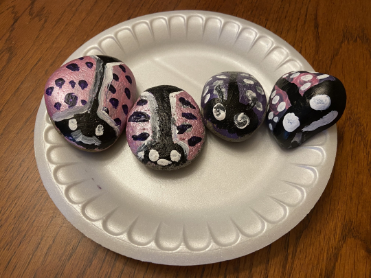 Painted rocks my ladybug family