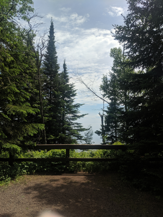 Pines & Lake Superior
