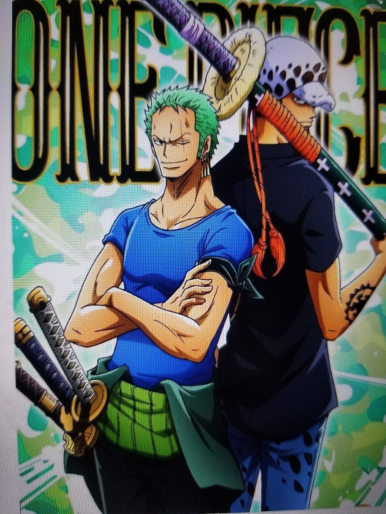 Zoro and Law