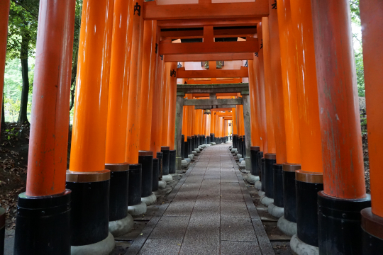 Fushimi Inari Taisha Gates