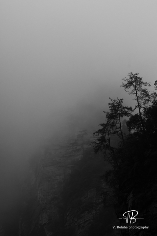 Fog of mystery