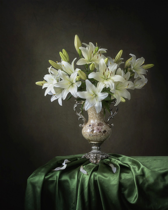 Still life with white lilly